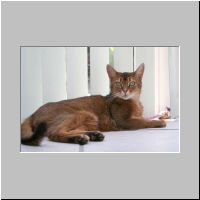 04 Bodie 2005.jpg